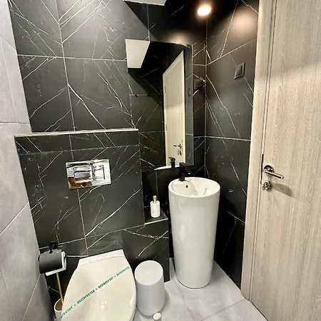 Guest house Pensiunea Brici Junior