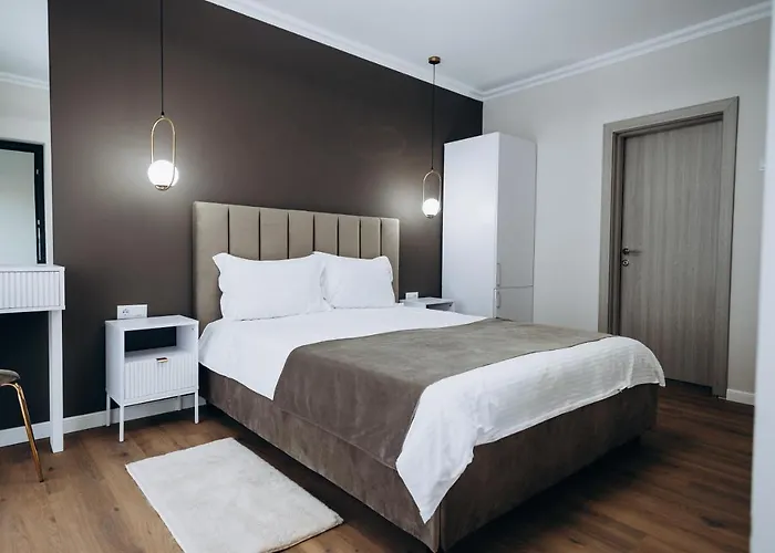 Pensión Pensiunea Brici Junior